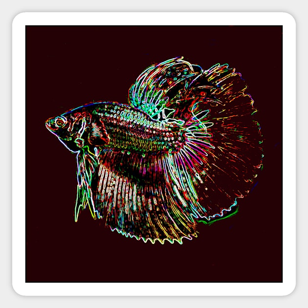 Betta Fish Sticker by CarloVaro